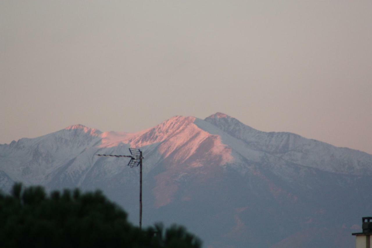 Chambre D'Hote Ciel Bleu Perpignan Ngoại thất bức ảnh